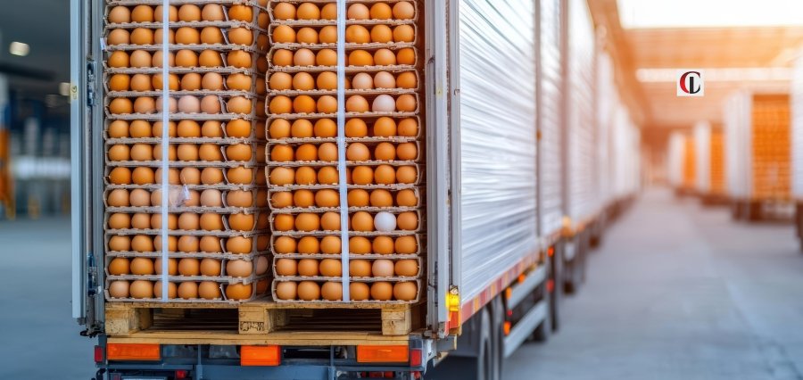 Business Resilience at the Core of a Stronger Poultry Value Chain